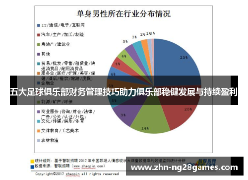 五大足球俱乐部财务管理技巧助力俱乐部稳健发展与持续盈利