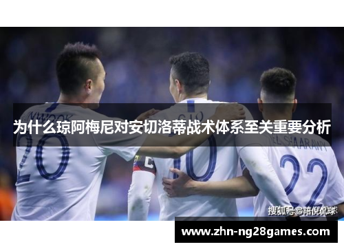 为什么琼阿梅尼对安切洛蒂战术体系至关重要分析