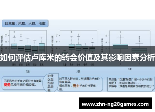 如何评估卢库米的转会价值及其影响因素分析