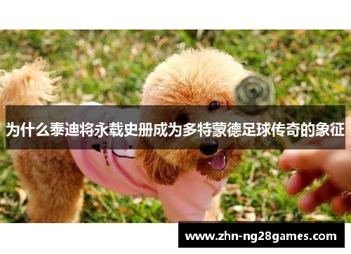 为什么泰迪将永载史册成为多特蒙德足球传奇的象征